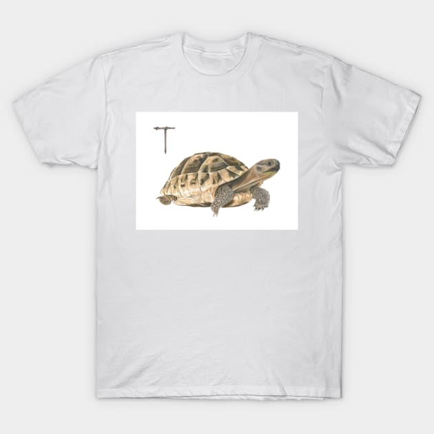 T for turtle alphabet illustration, pencil illustration from my alphabet series T-Shirt by DamiansART